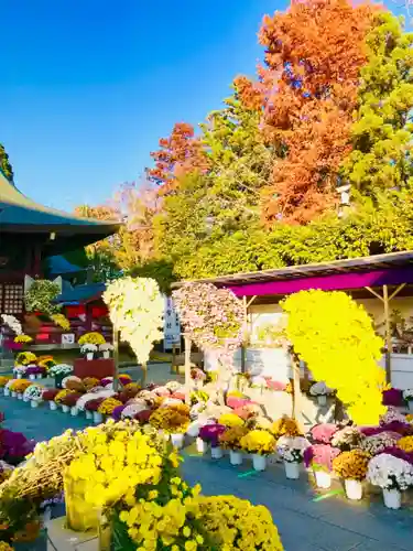 笠間稲荷神社の景色