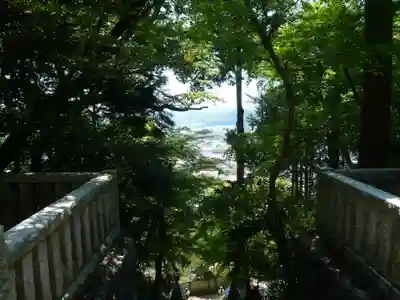 西分神社の自然