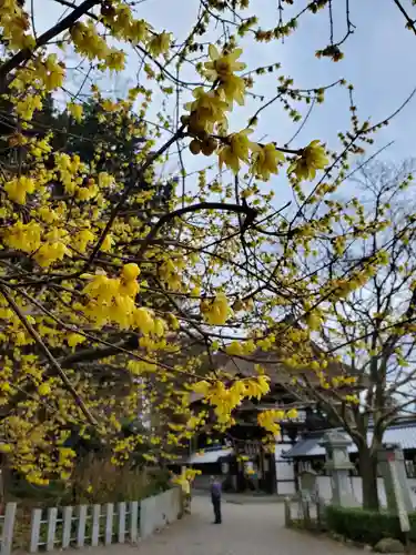 沙沙貴神社の自然