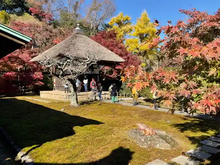 長壽寺(長寿寺)のその他建物