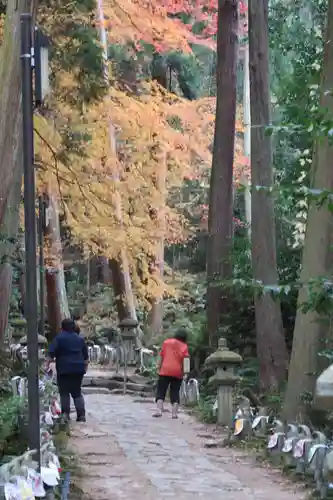 金剛輪寺の建物その他