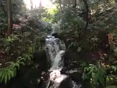 白山比咩神社の自然