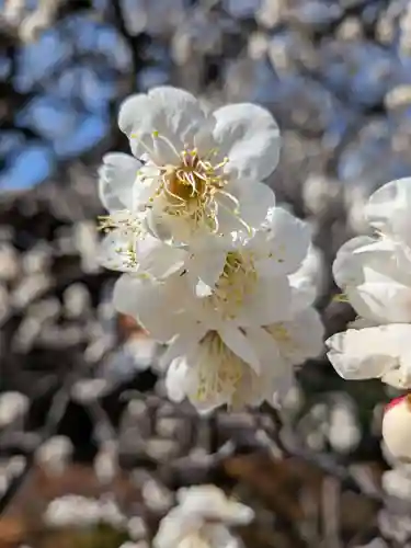 福蔵院(東京都)