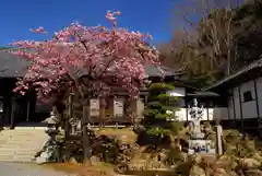 楽法寺（雨引観音）の自然