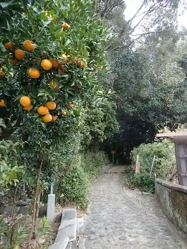 宇治山田神社（皇大神宮摂社）・那自賣神社（皇大神宮末社）の建物その他