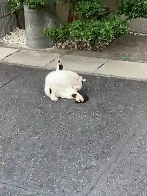 日輪寺(愛知県)