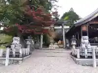 八幡神社(武芸八幡宮)(岐阜県)