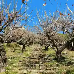 長楽寺の自然