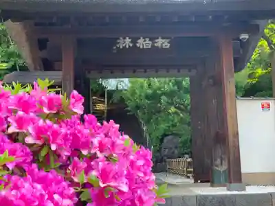 円福寺の山門・神門