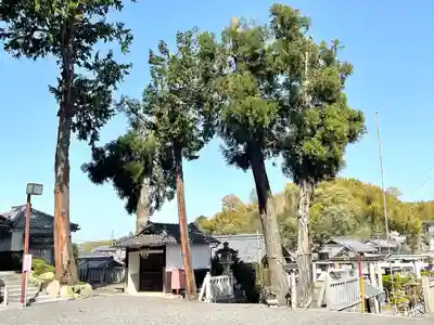 日枝神社(滋賀県)