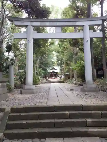 代々木八幡宮の鳥居