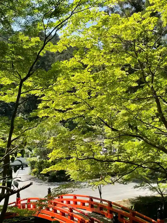 小國神社の{uncategorized: "未分類", other: "その他", undefined: "問題あり", building: "その他建物", grave: "お墓", sacred_gate: "鳥居", guardian: "狛犬", statue: "像", buddha: "仏像", history: "歴史", nature: "自然", garden: "庭園", animal: "動物", pagoda: "塔", temizu: "手水舎", mountain_gate: "山門・神門", sanctuary: "本殿・本堂", subordinate: "末社・摂社", art: "芸術", scenery: "景色", jizo: "地蔵", ema: "絵馬", goshuin: "御朱印", omikuji: "おみくじ", items: "授与品その他", amulet: "お守り", goshuincho: "御朱印帳", eats: "食事", festival: "お祭り", votive_dance: "神楽", shichigosan: "七五三参", wedding: "結婚式", experience: "体験その他", initially: "初詣", around: "周辺", anti_infection: "感染症対策"}