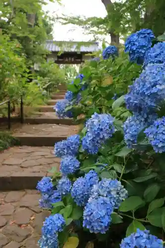 資福禅寺の建物その他