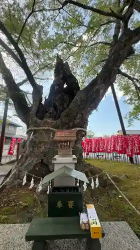 秩父今宮神社の{uncategorized: "未分類", other: "その他", undefined: "問題あり", building: "その他建物", grave: "お墓", sacred_gate: "鳥居", guardian: "狛犬", statue: "像", buddha: "仏像", history: "歴史", nature: "自然", garden: "庭園", animal: "動物", pagoda: "塔", temizu: "手水舎", mountain_gate: "山門・神門", sanctuary: "本殿・本堂", subordinate: "末社・摂社", art: "芸術", scenery: "景色", jizo: "地蔵", ema: "絵馬", goshuin: "御朱印", omikuji: "おみくじ", items: "授与品その他", amulet: "お守り", goshuincho: "御朱印帳", eats: "食事", festival: "お祭り", votive_dance: "神楽", shichigosan: "七五三参", wedding: "結婚式", experience: "体験その他", initially: "初詣", around: "周辺", anti_infection: "感染症対策"}