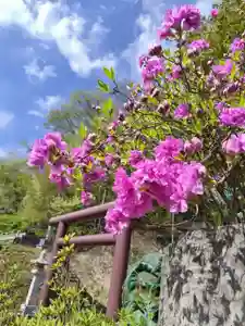 厚別神社(北海道)(2023年05月10日(水) 14時19分22秒投稿)
