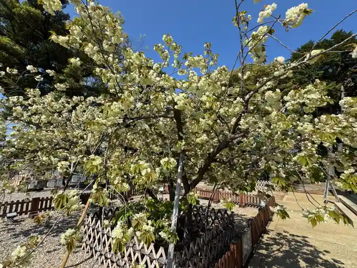 上地八幡宮(愛知県)