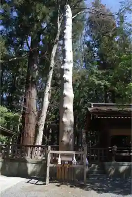 諏訪大社下社秋宮のその他建物