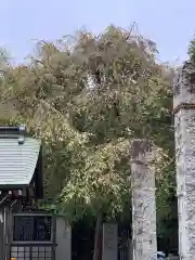 諏訪神社(神奈川県)