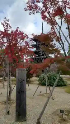 仁和寺の{uncategorized: "未分類", other: "その他", undefined: "問題あり", building: "その他建物", grave: "お墓", sacred_gate: "鳥居", guardian: "狛犬", statue: "像", buddha: "仏像", history: "歴史", nature: "自然", garden: "庭園", animal: "動物", pagoda: "塔", temizu: "手水舎", mountain_gate: "山門・神門", sanctuary: "本殿・本堂", subordinate: "末社・摂社", art: "芸術", scenery: "景色", jizo: "地蔵", ema: "絵馬", goshuin: "御朱印", omikuji: "おみくじ", items: "授与品その他", amulet: "お守り", goshuincho: "御朱印帳", eats: "食事", festival: "お祭り", votive_dance: "神楽", shichigosan: "七五三参", wedding: "結婚式", experience: "体験その他", initially: "初詣", around: "周辺", anti_infection: "感染症対策"}