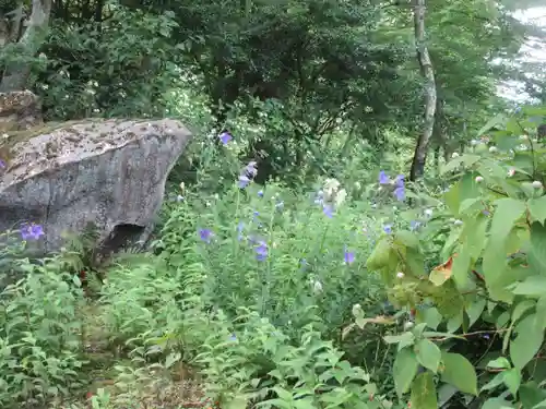 青龍山 吉祥寺(群馬県)