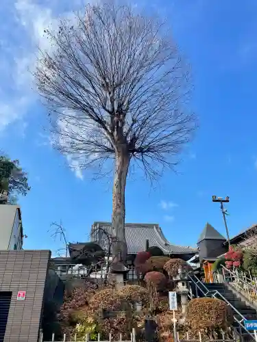 廣源院東福寺(東京都)