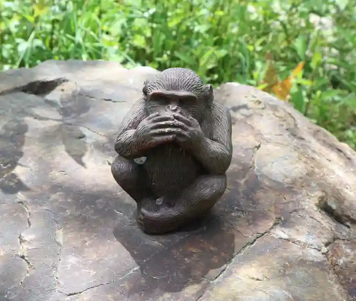 正伝護国禅寺(正伝寺・正傳寺)(京都府)