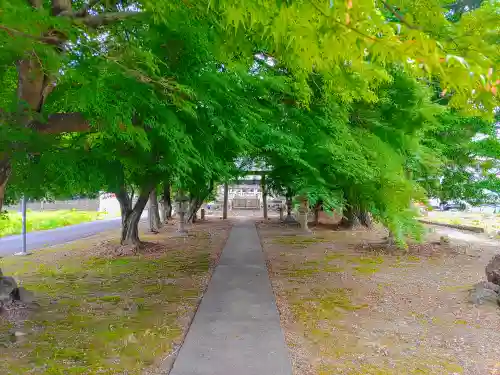 川島神社（宮田町）のその他建物