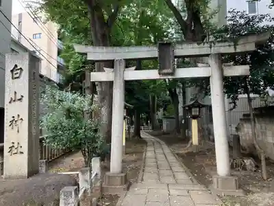 荻窪白山神社の鳥居
