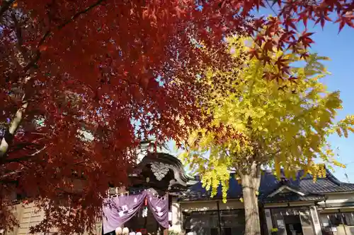 鹿島御子神社の自然