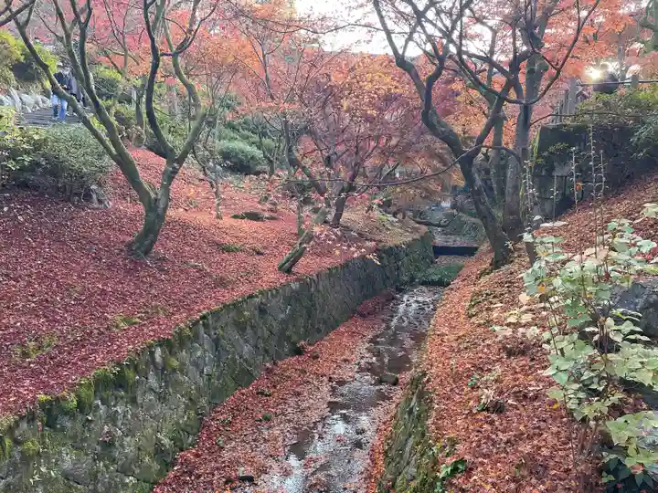 東福禅寺(東福寺)(京都府)