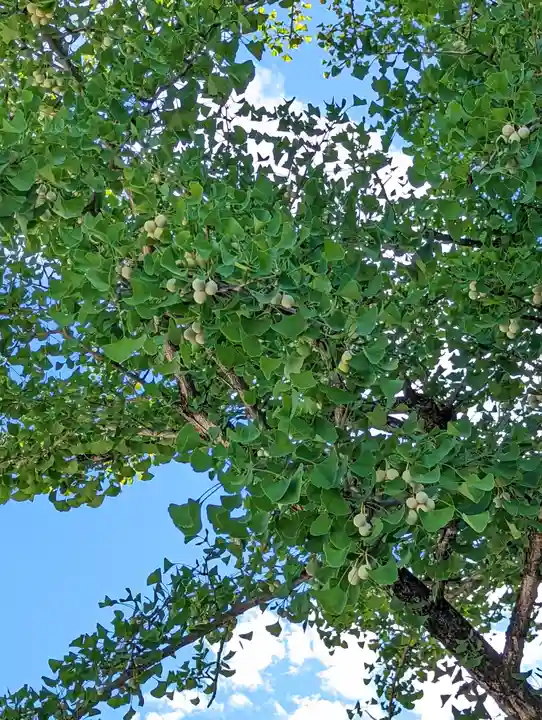 廣隆寺(京都府)