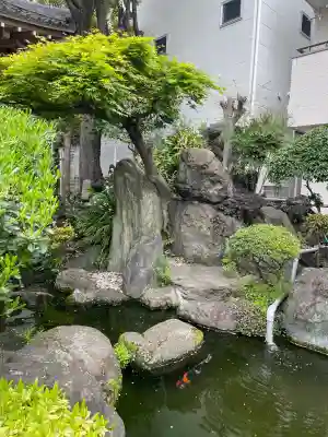 東光寺別院桜ヶ池不動院の{uncategorized: "未分類", other: "その他", undefined: "問題あり", building: "その他建物", grave: "お墓", sacred_gate: "鳥居", guardian: "狛犬", statue: "像", buddha: "仏像", history: "歴史", nature: "自然", garden: "庭園", animal: "動物", pagoda: "塔", temizu: "手水舎", mountain_gate: "山門・神門", sanctuary: "本殿・本堂", subordinate: "末社・摂社", art: "芸術", scenery: "景色", jizo: "地蔵", ema: "絵馬", goshuin: "御朱印", omikuji: "おみくじ", items: "授与品その他", amulet: "お守り", goshuincho: "御朱印帳", eats: "食事", festival: "お祭り", votive_dance: "神楽", shichigosan: "七五三参", wedding: "結婚式", experience: "体験その他", initially: "初詣", around: "周辺", anti_infection: "感染症対策"}