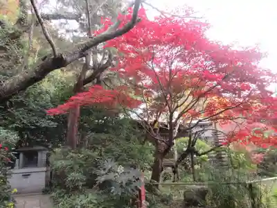 浄光明寺(神奈川県)