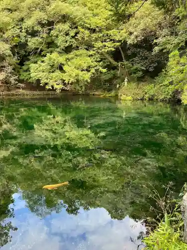 涌釜神社(栃木県)