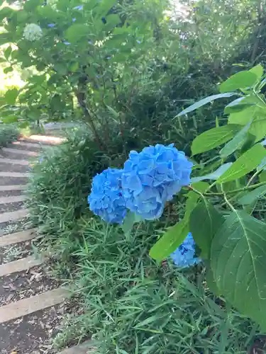 高幡不動尊　金剛寺(東京都)