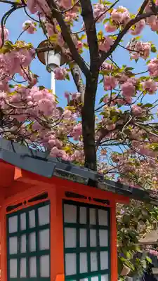 六孫王神社(京都府)