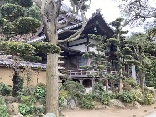 本蓮寺の本殿・本堂