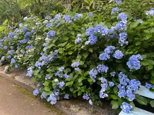 長谷寺(奈良県)