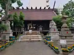 高円寺氷川神社の本殿