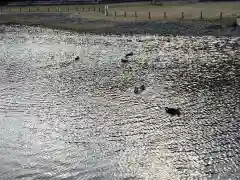 永福寺跡（永福寺址）(神奈川県)