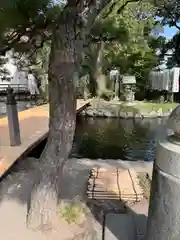 平塚八幡宮(神奈川県)