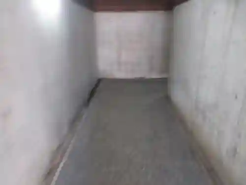 白山神社(新潟県)