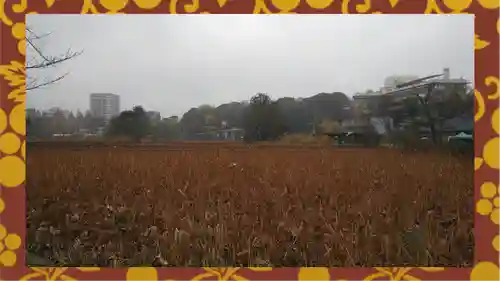 寛永寺不忍池弁天堂の景色