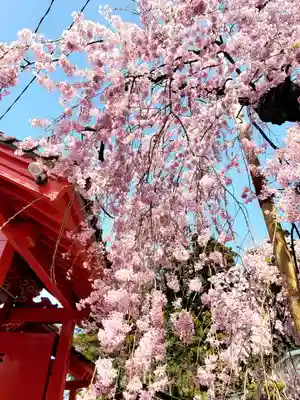 妙関寺(福島県)