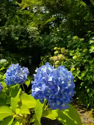 石都々古和気神社(福島県)
