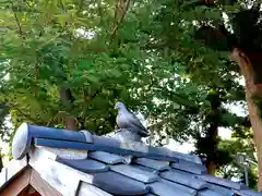 八幡神社の建物その他