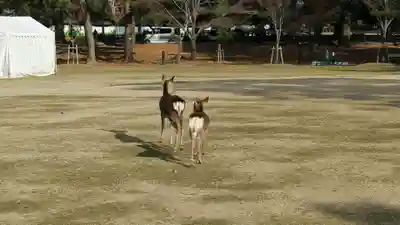 長谷寺(奈良県)