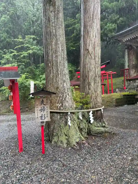 志和稲荷神社(岩手県)