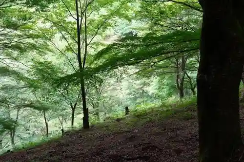 稚児松地蔵の自然