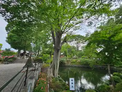 瀧宮神社(埼玉県)